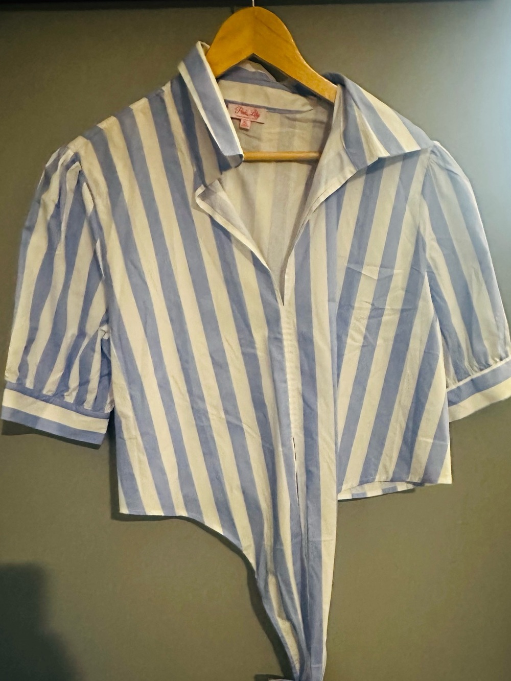 Pink Lily Blue & White Striped Cropped Button Front Top